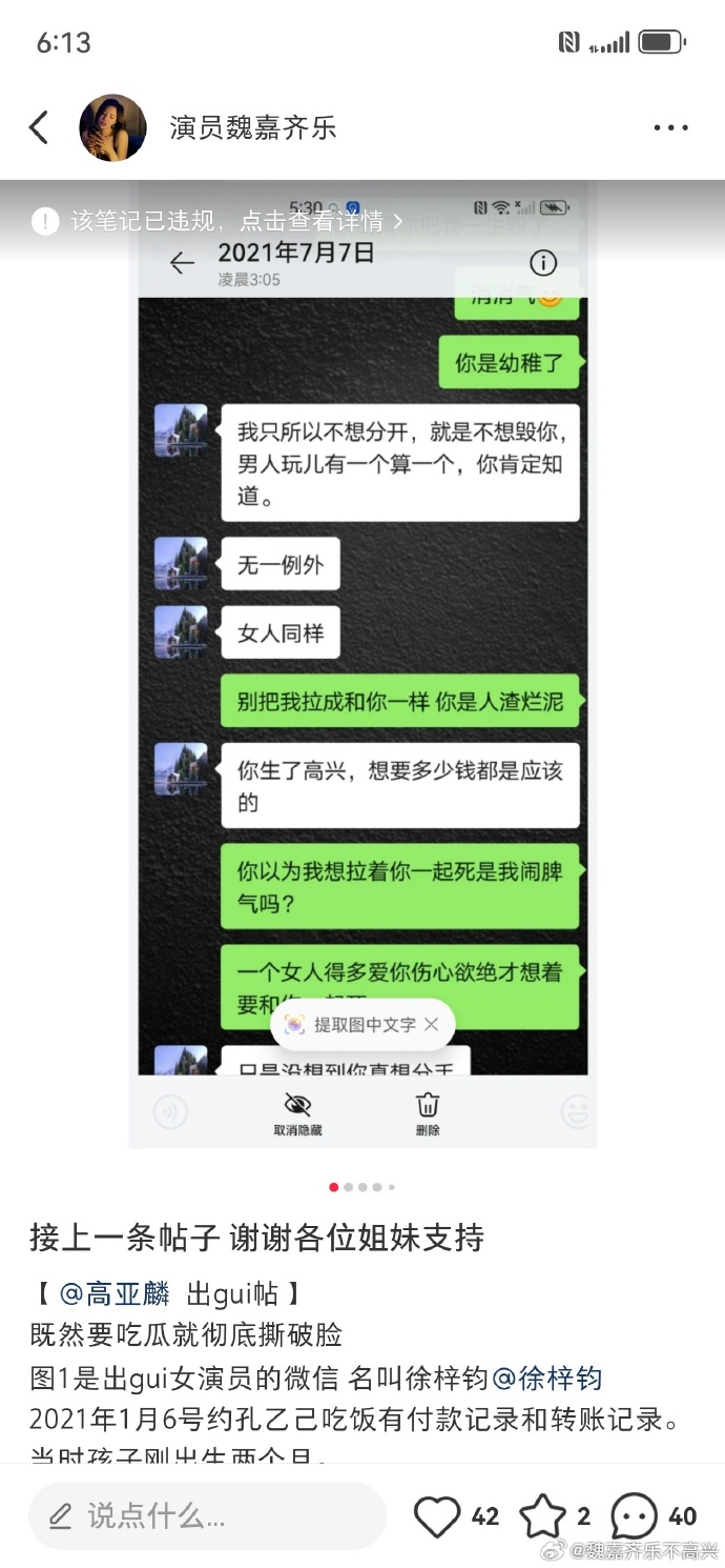 52岁高亚麟出轨26岁徐梓钧的秘密恋情,聊天截图和转帐记录