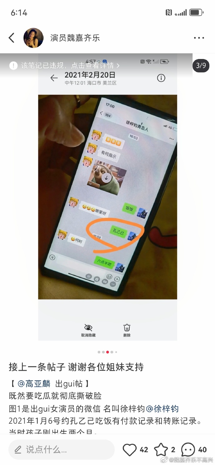 52岁高亚麟出轨26岁徐梓钧的秘密恋情,聊天截图和转帐记录