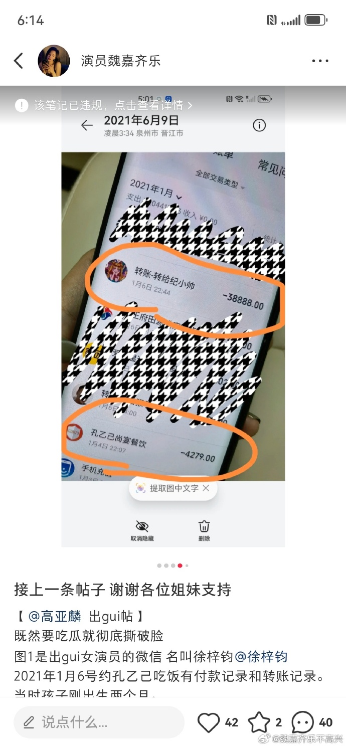 52岁高亚麟出轨26岁徐梓钧的秘密恋情,聊天截图和转帐记录