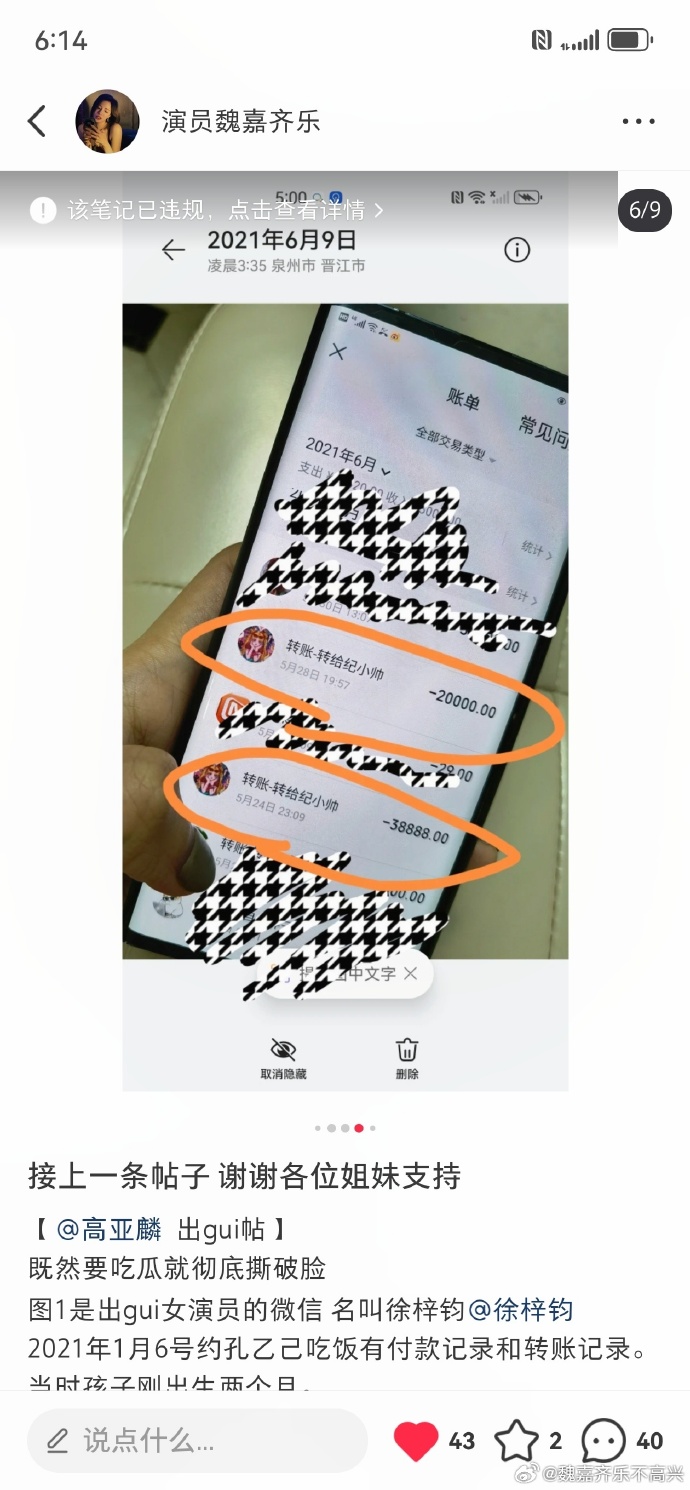 52岁高亚麟出轨26岁徐梓钧的秘密恋情,聊天截图和转帐记录