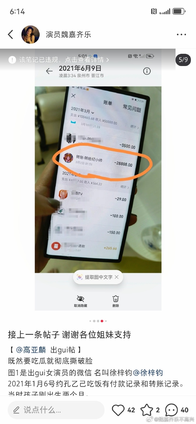 52岁高亚麟出轨26岁徐梓钧的秘密恋情,聊天截图和转帐记录