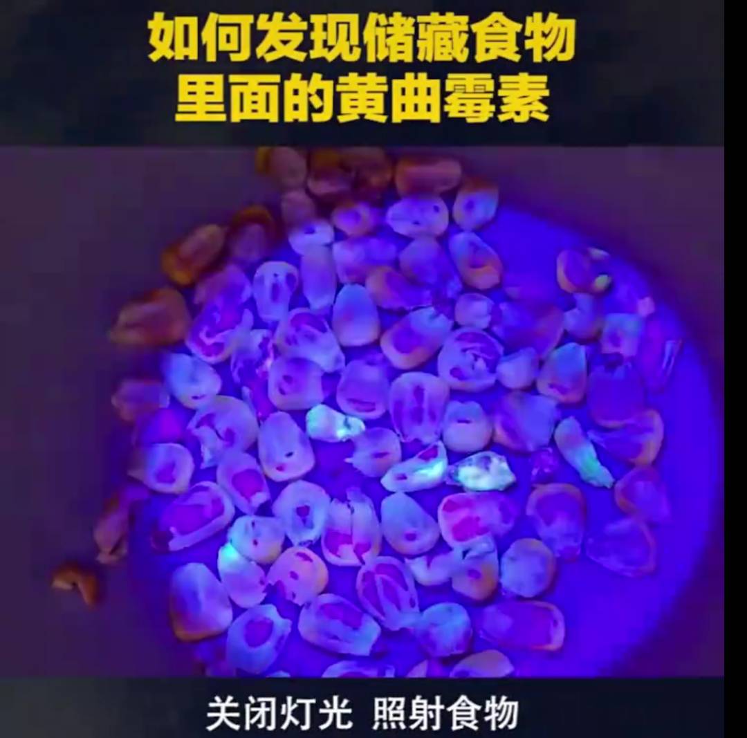 用手电筒真能检测出黄曲霉毒素？别再被误导啦！