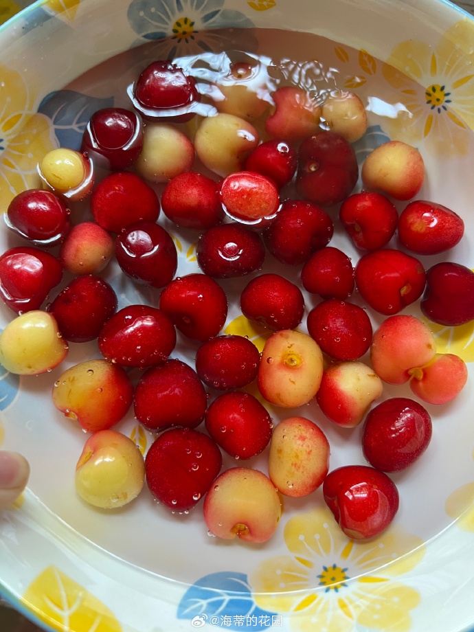 4元1斤的大樱桃哪里有卖的？这么便宜你吃到了吗？