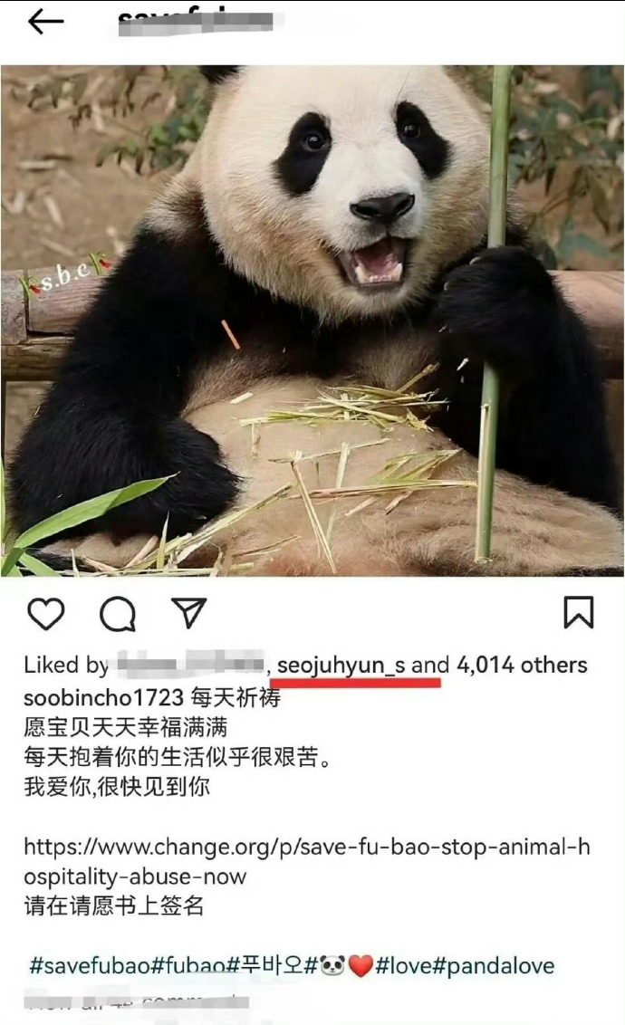 徐贤关注福宝被虐待的帖子，还点赞请愿引发网友热议！