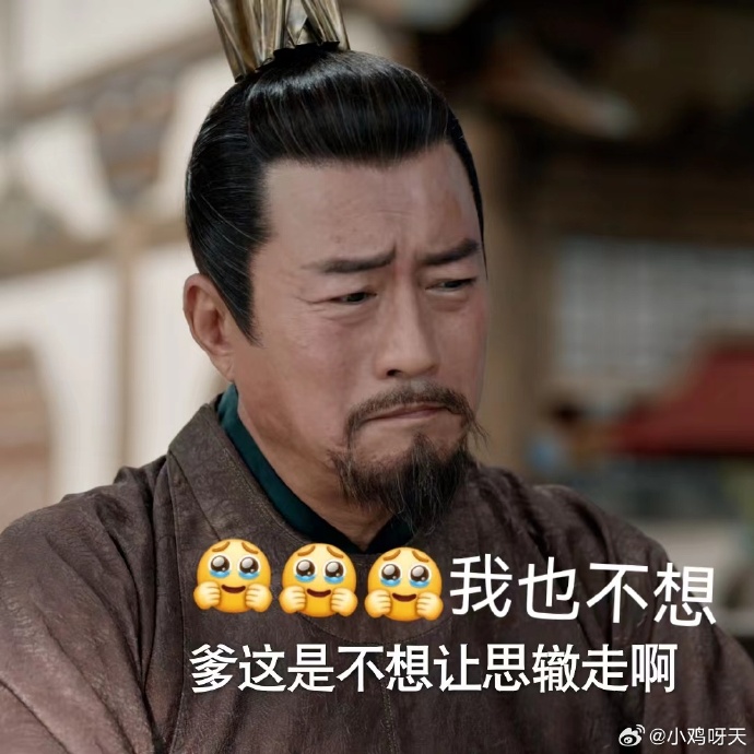 舍不得范思辙：第二季真是蜕变：从家族边缘到社会栋梁