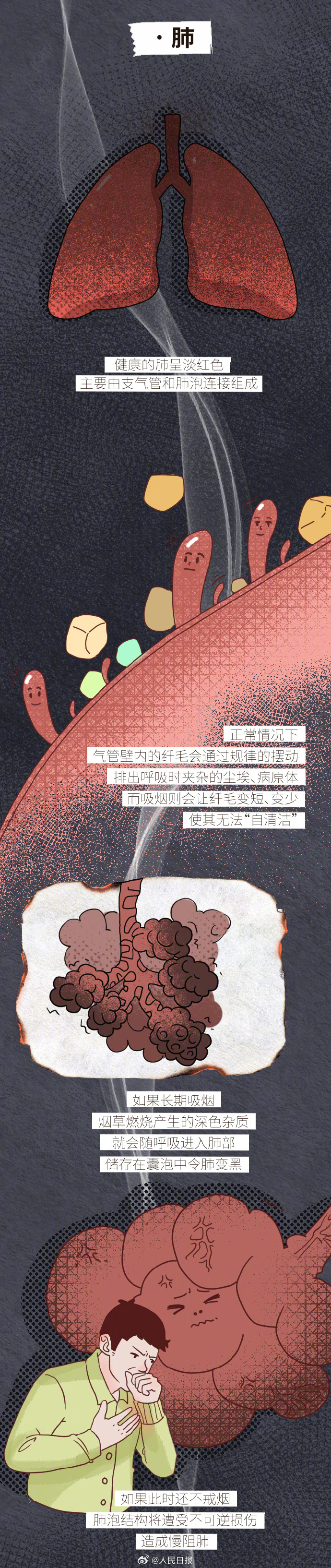 0033ImPzly1hq8h54o54zj60jg2k2hdt02.jpg