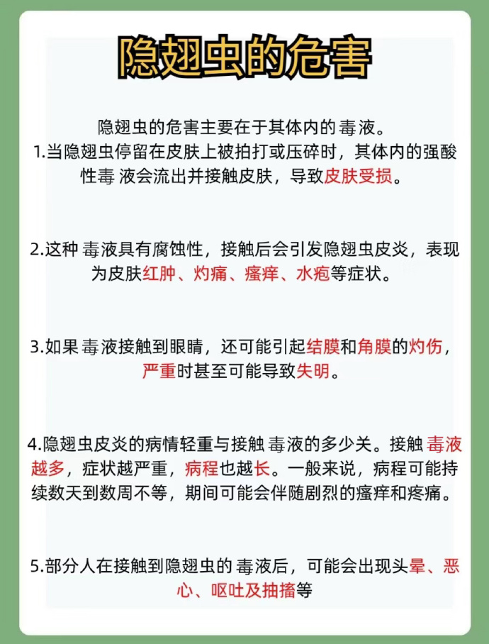 女子误将隐翅虫当蚊子在脸上拍死，险遭毁容真可怕