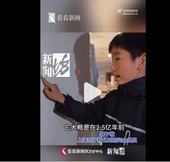 小学生意外发现瑞金医院上亿年前化石，成为科普小达人