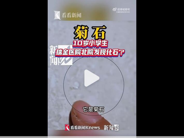 小学生意外发现瑞金医院上亿年前化石，成为科普小达人