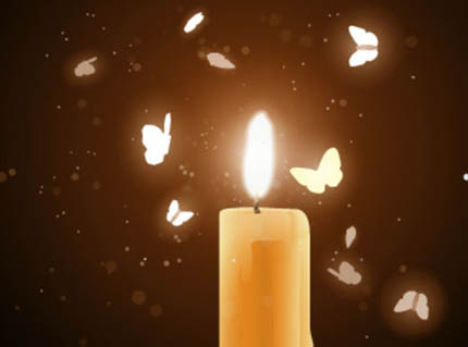 飞蛾为何被灯光吸引？还喜欢扑火送死？