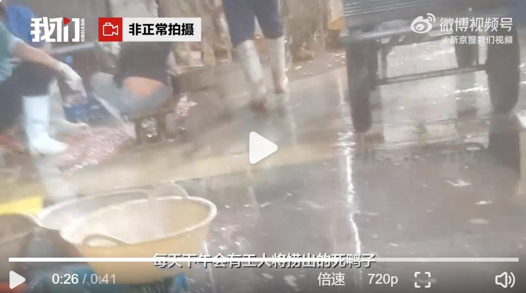 记者卧底鸭肠鹅肠工厂，工人排水口小便后捞出死鸭送车间