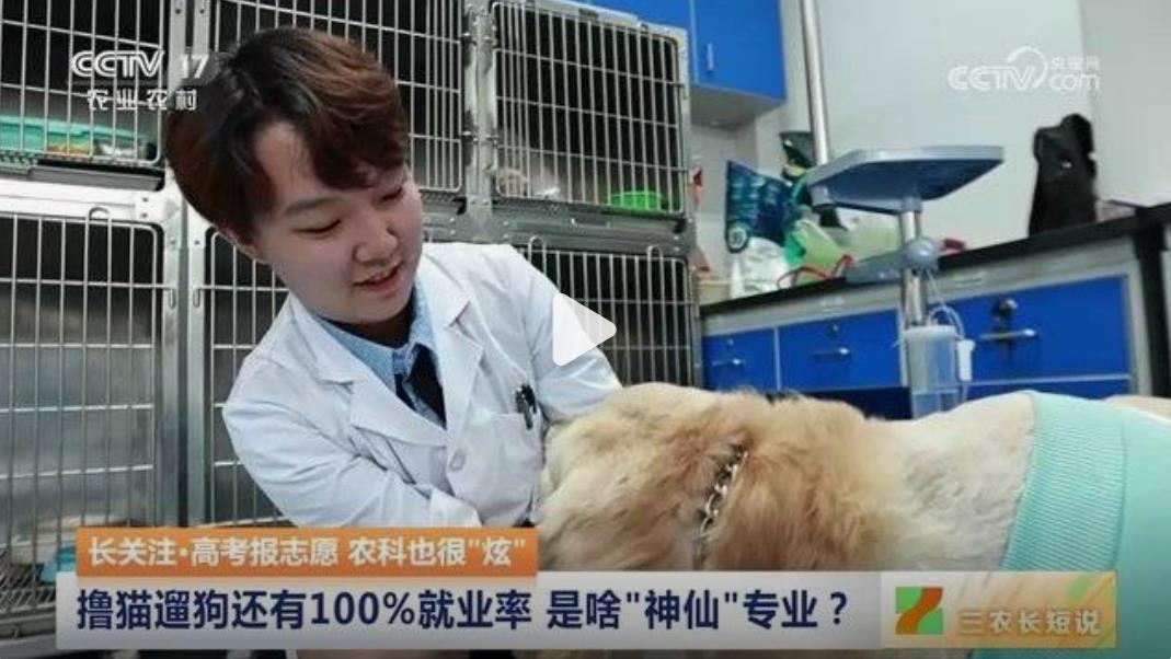 免收学费就业率贼高的神仙专业真的存在,撸猫遛狗就业无忧