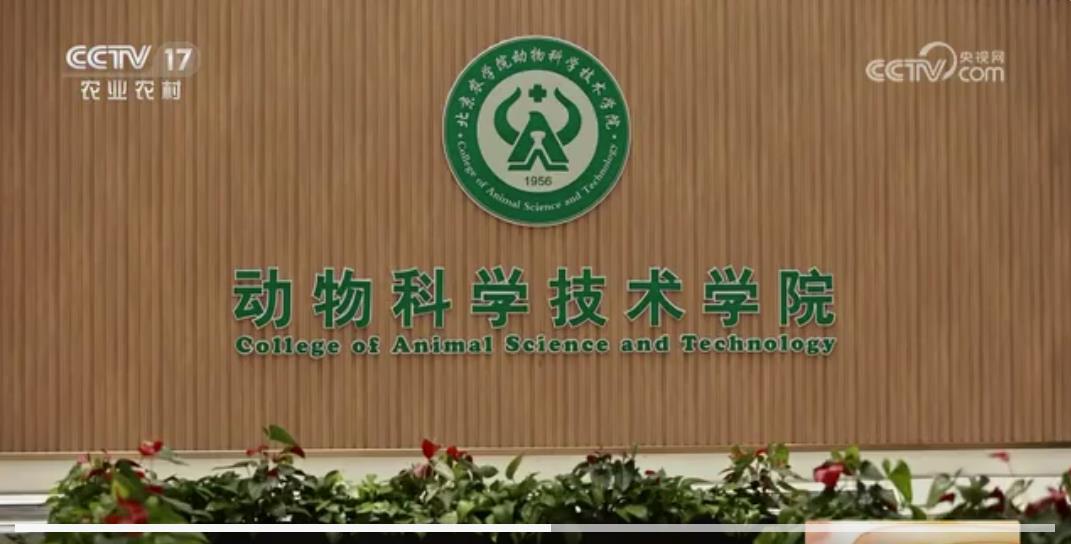 免收学费就业率贼高的神仙专业真的存在,撸猫遛狗就业无忧