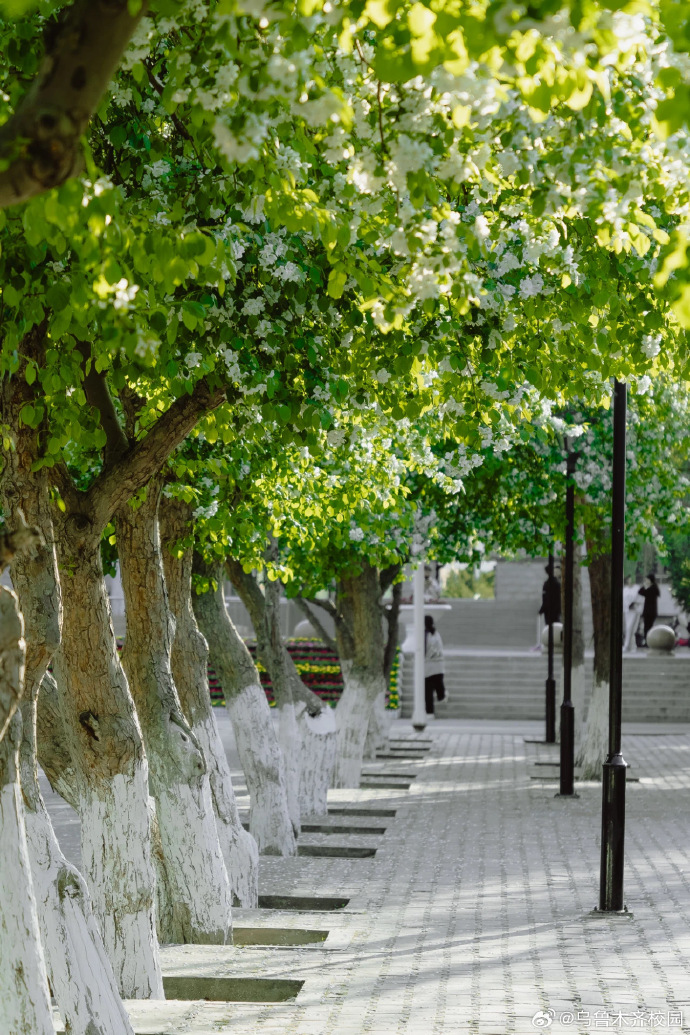 不知不觉2024年的夏天过去一半了，盛夏热情如火的季节