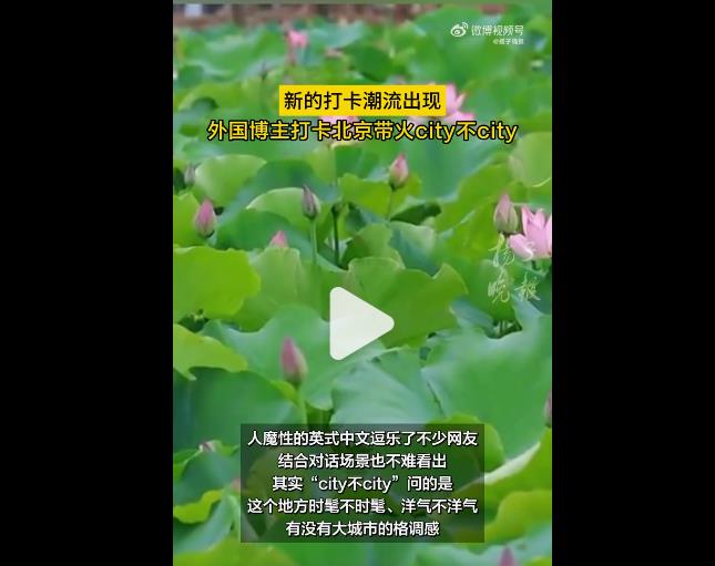 City不City到底是个啥意思？风靡网络，这个梗也火的太快了