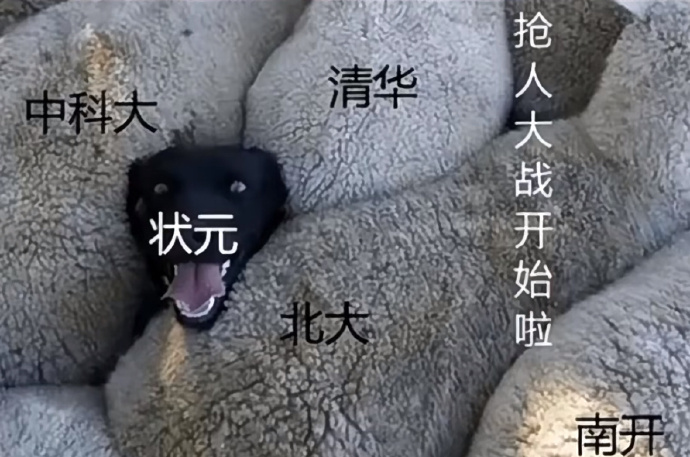 清华北大抢人大战有多拼：名校如何争夺顶尖人才？