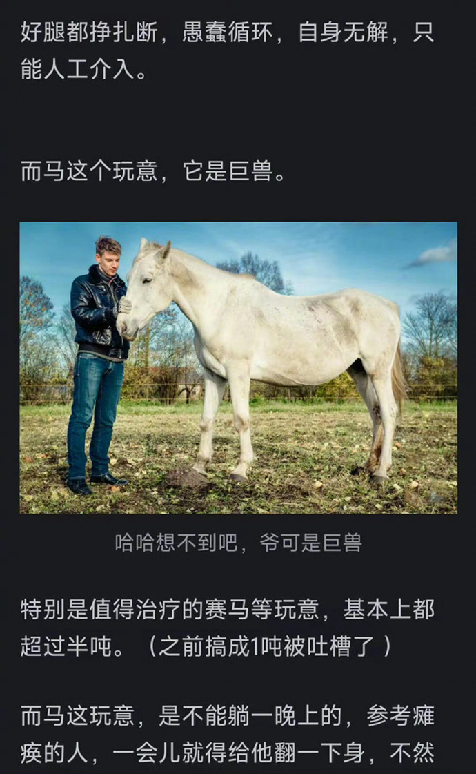 为什么马的腿断了，骨折后就必须死？