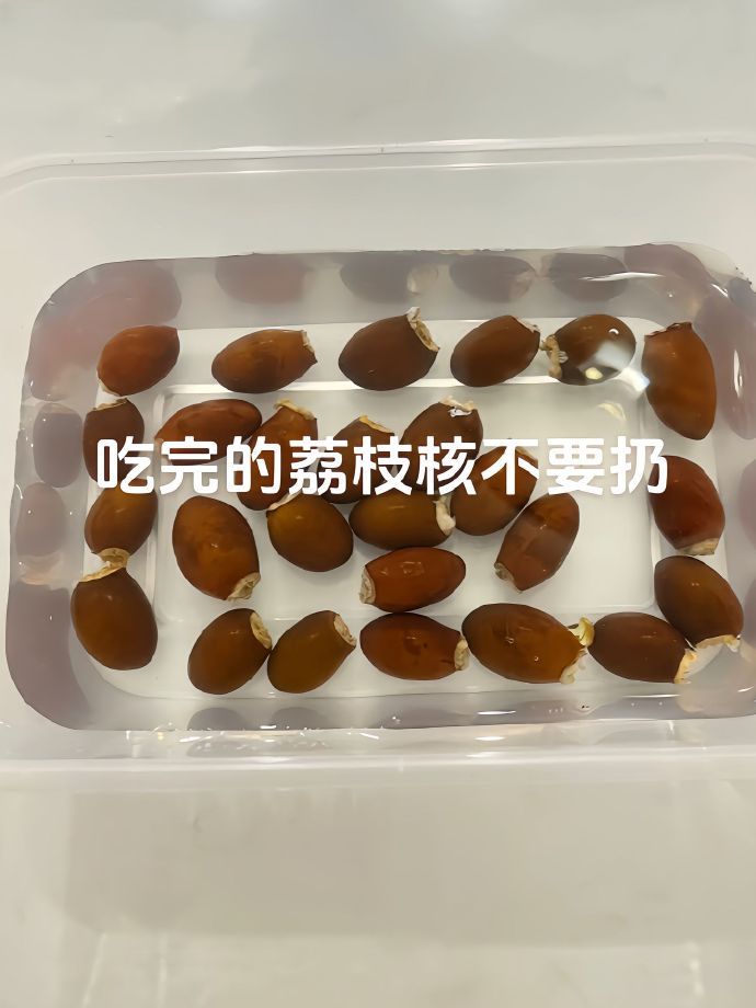 吃完的荔枝别急着扔，它可是个隐藏级大宝藏！