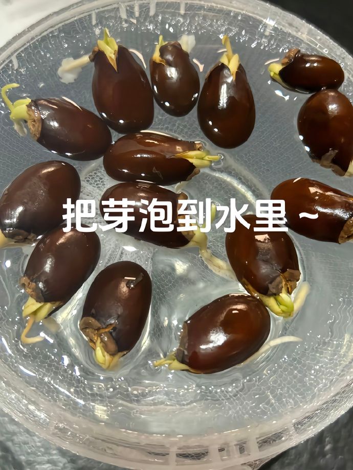 吃完的荔枝别急着扔，它可是个隐藏级大宝藏！