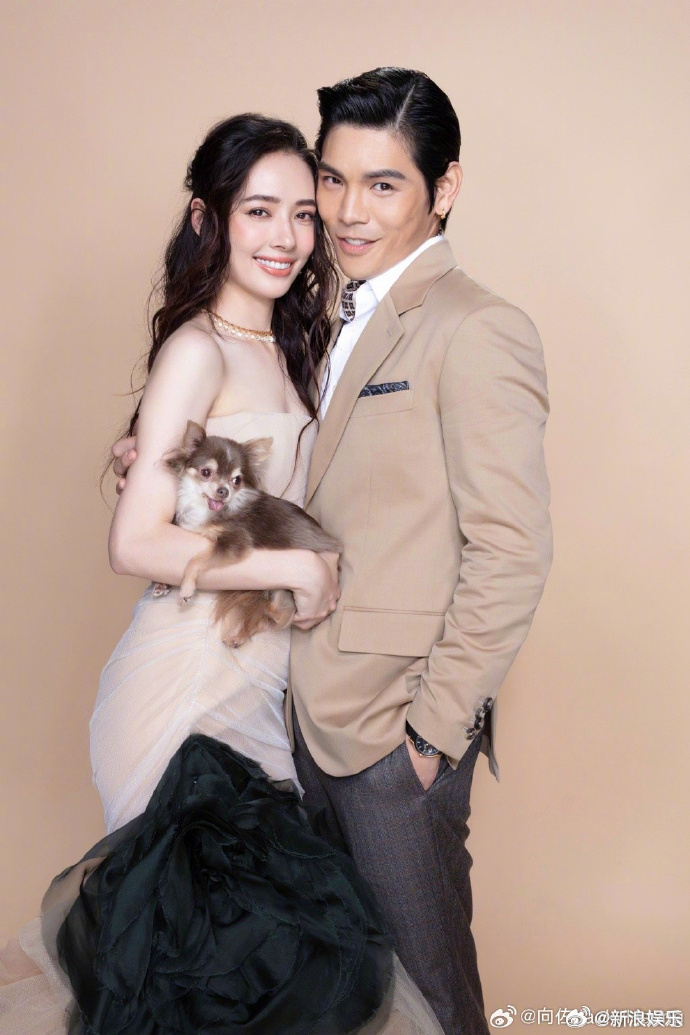 向佐霸气护妻你们凭什么说她，力挺郭碧婷乘风破浪