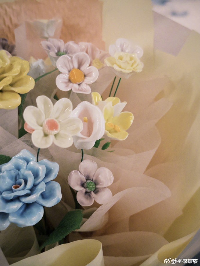 李宇春发千字长文致谢小瓷花，音乐之旅中的真诚与心意