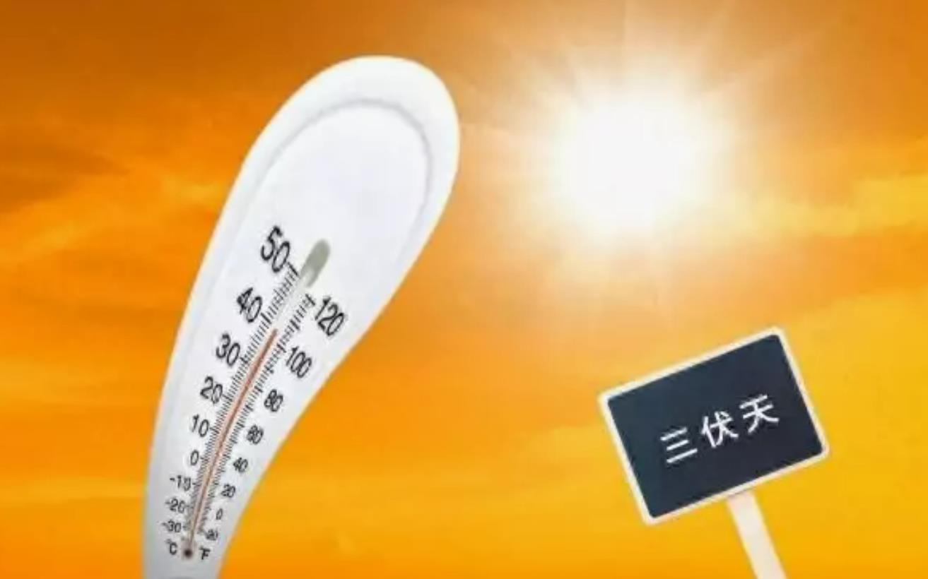 今年三伏天将持续40天左右，高温回归体感由小笼变生煎
