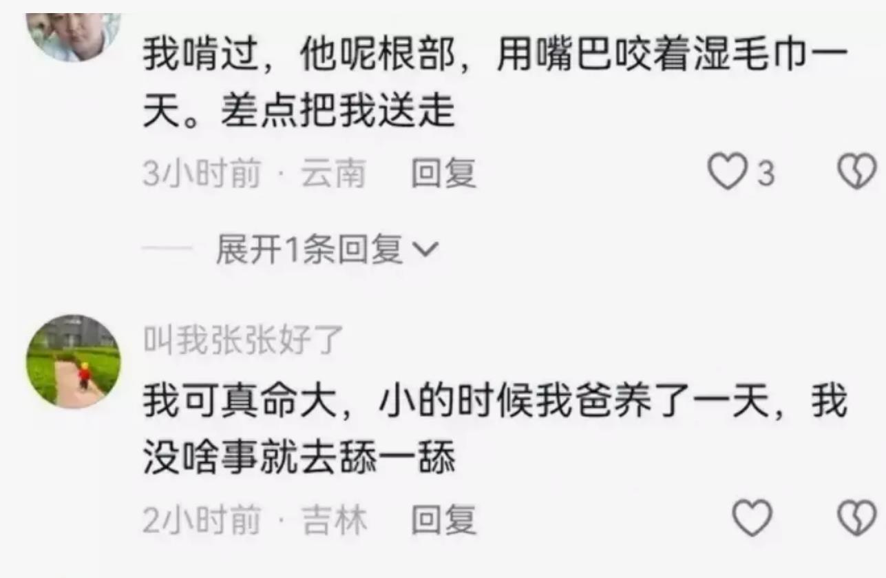 四岁男童误舔滴水观音，生命危在旦夕住进ICU