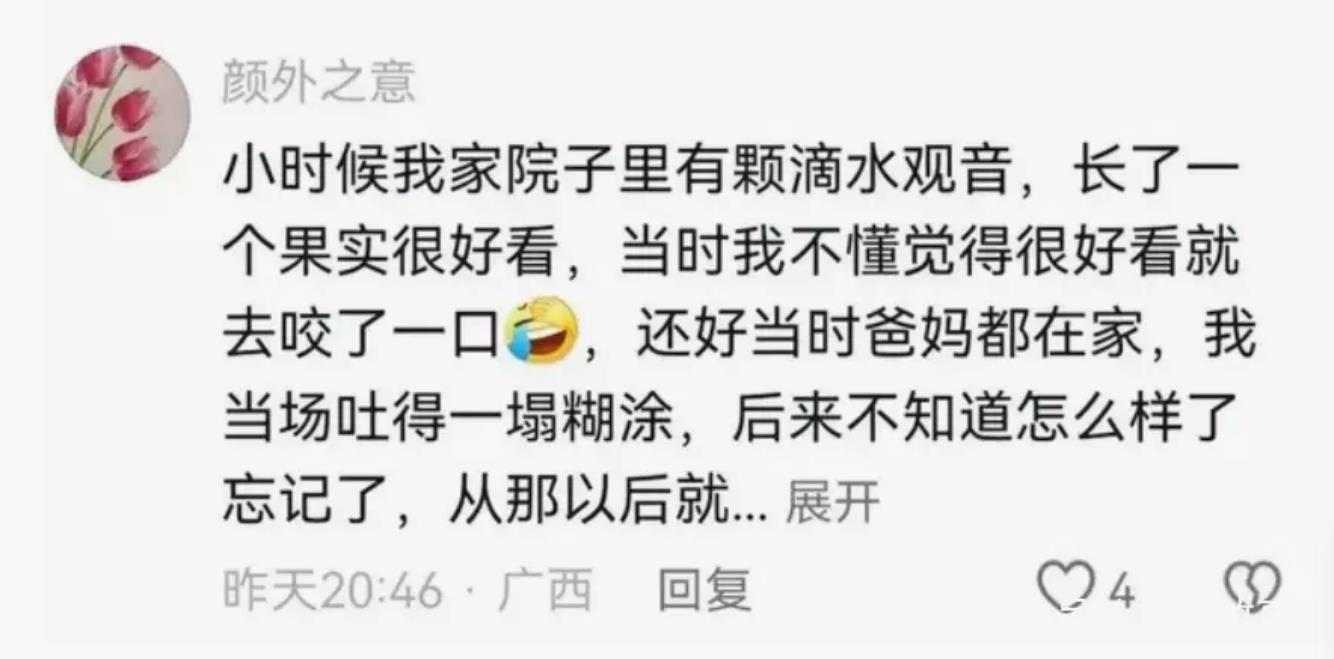 四岁男童误舔滴水观音，生命危在旦夕住进ICU