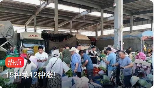 山东人吃不起豆橛子成“奢侈品”，15种蔬菜有12种涨价严重
