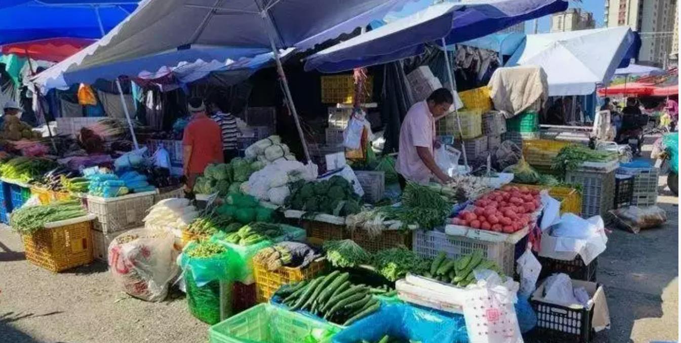 山东人吃不起豆橛子成“奢侈品”，15种蔬菜有12种涨价严重