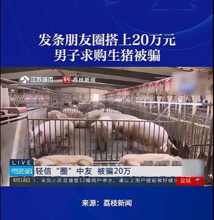 男子发条朋友圈搭上20万：求购生猪，被好友设局！