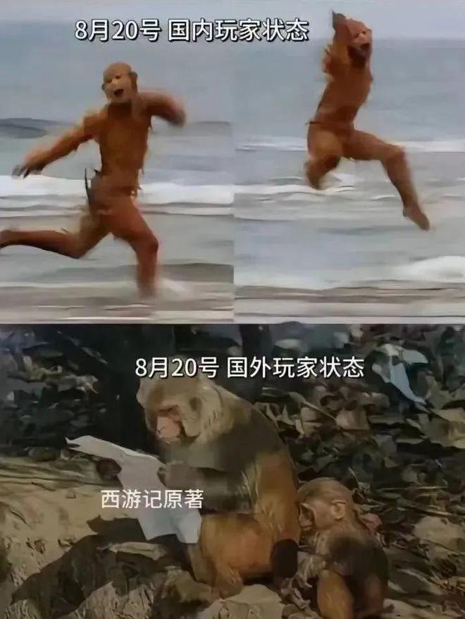 外交部点赞《黑神话:悟空》大火.回应中国文化魅力全球绽放