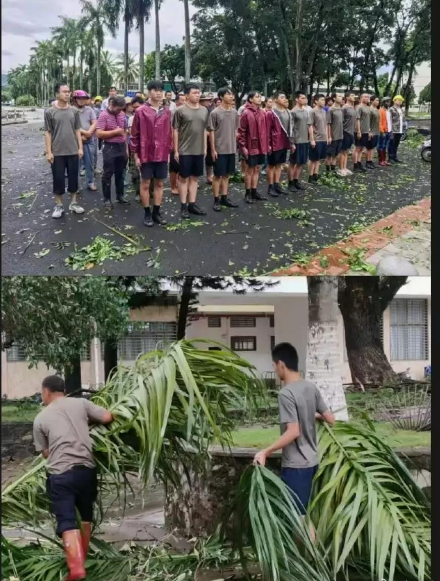 海南大学台风中“痛失校名”，师生共筑坚强防线