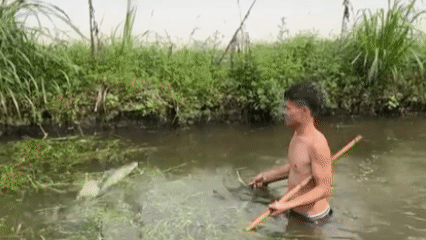 男子下塘捞鱼被鱼给揍了：遭“冰鱼”连环“打脸”