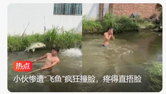 男子下塘捞鱼被鱼给揍了：遭“冰鱼”连环“打脸”