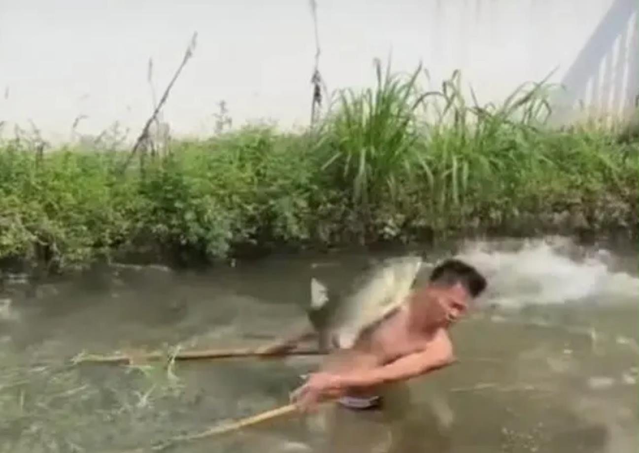 男子下塘捞鱼被鱼给揍了：遭“冰鱼”连环“打脸”