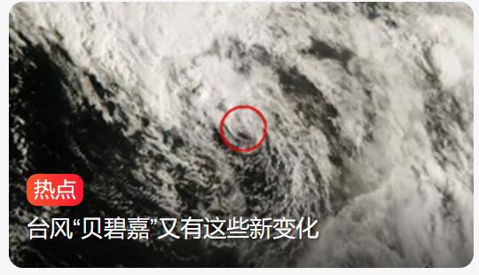 台风贝碧嘉“秃顶”记：路径北调，上海或成登陆新目标