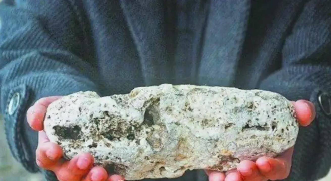 游客威海海边意外捡800万香料:疑似龙涎香引业内人士鉴定