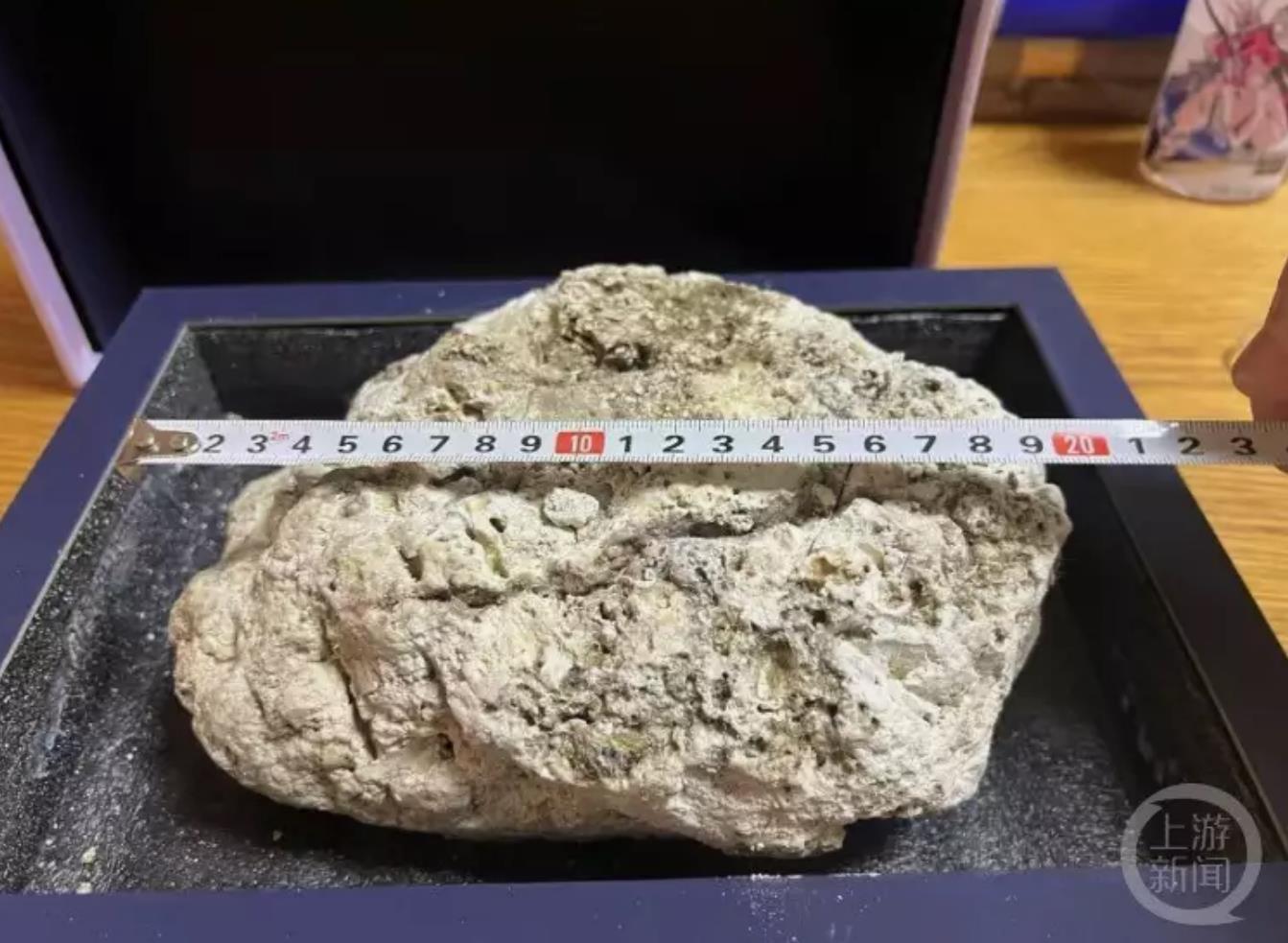 游客威海海边意外捡800万香料:疑似龙涎香引业内人士鉴定