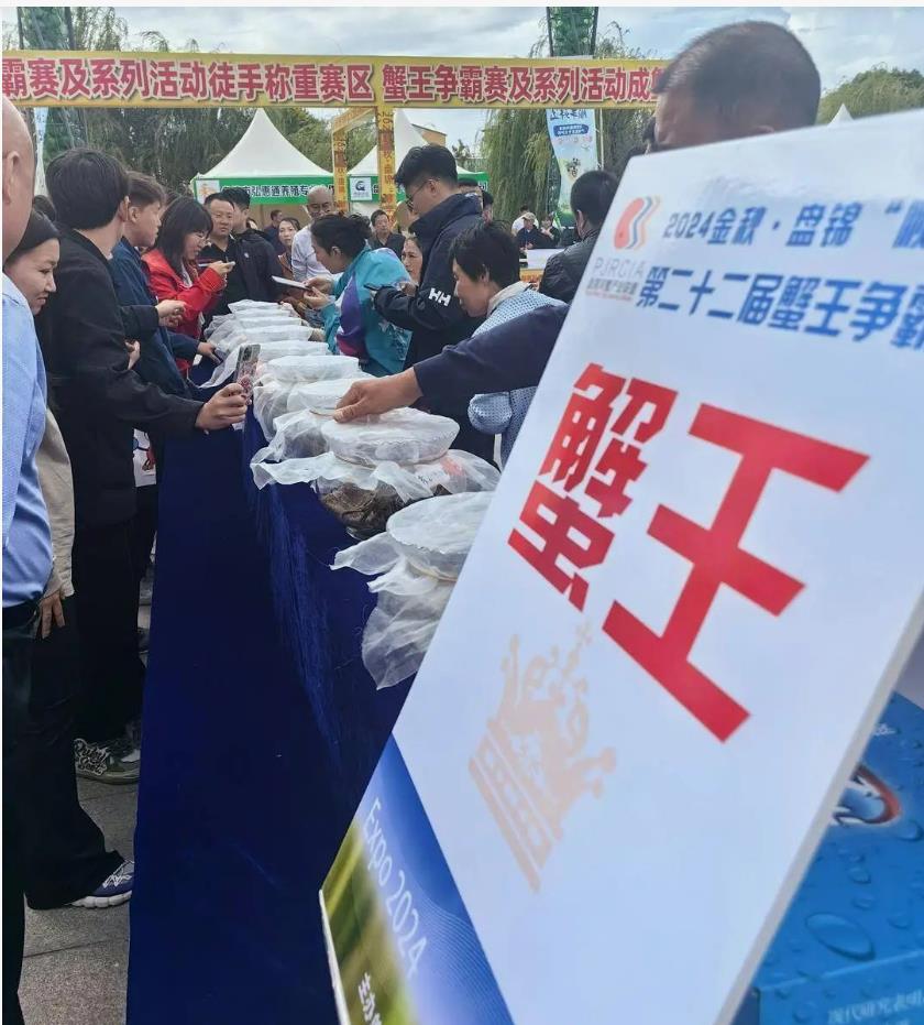 新一届蟹王蟹后荣耀加冕，公的重637.4克，母的重370克！