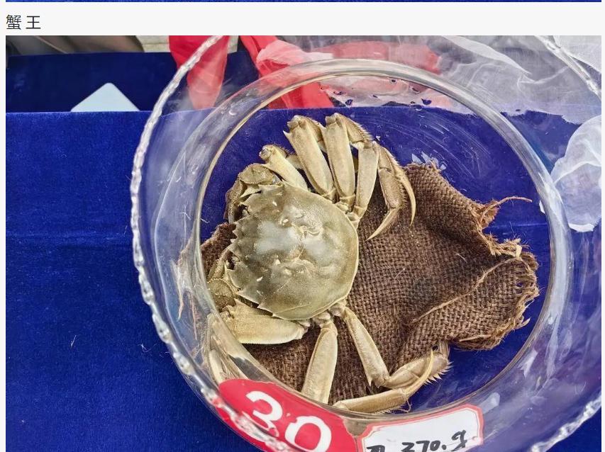 新一届蟹王蟹后荣耀加冕，公的重637.4克，母的重370克！