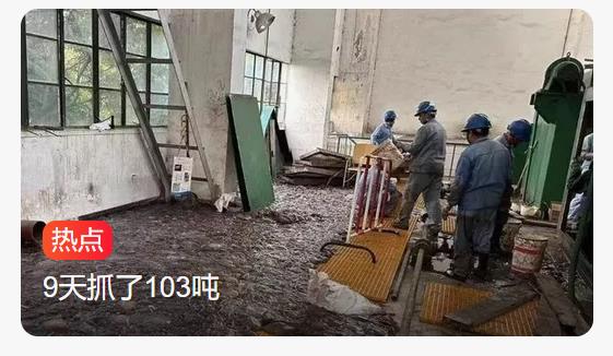 9天抓了103吨海蜇，上海石化打响人蜇大战，入侵多家热电厂