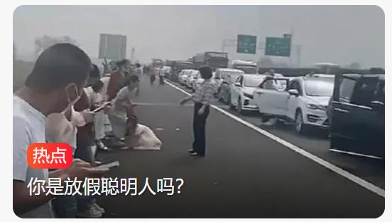 国庆10.1高速路上长满了放假聪明人,这些人为何年年要受罪