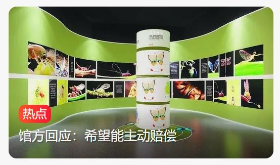 博物馆多个活昆虫被2熊孩子私下偷走，还被玩死了！