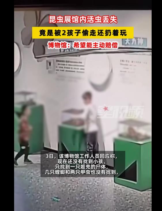 博物馆多个活昆虫被2熊孩子私下偷走，还被玩死了！