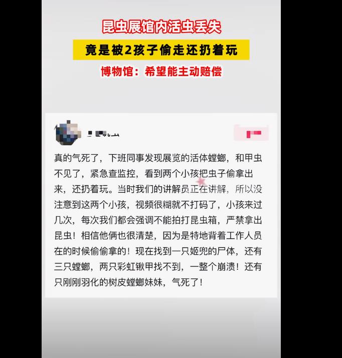 博物馆多个活昆虫被2熊孩子私下偷走，还被玩死了！