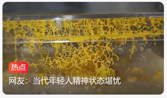当代年轻人居然开始养黏菌当宠物：新奇选择引发网络热议