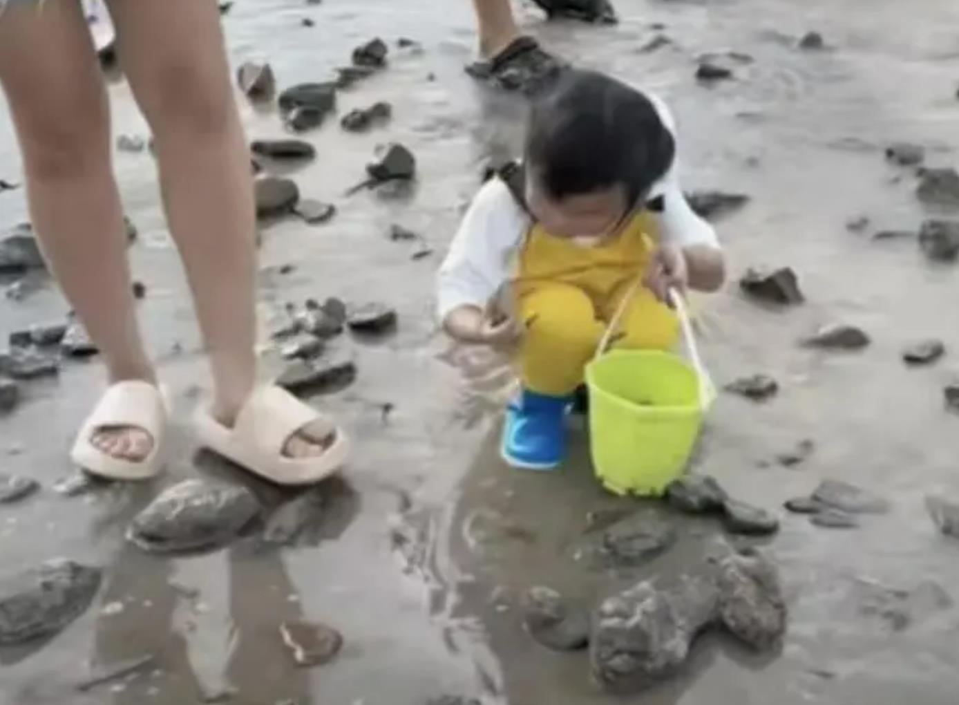 花钱先买好花蛤，然后撒海滩让娃捡：父爱如海！