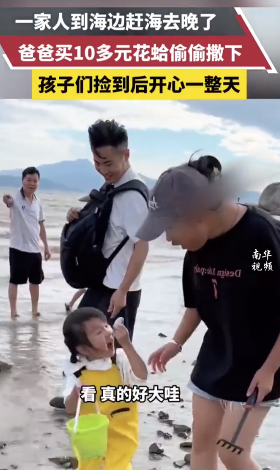 花钱先买好花蛤，然后撒海滩让娃捡：父爱如海！