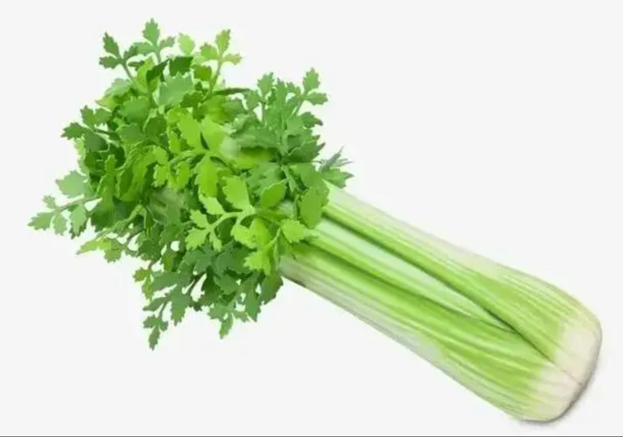 三万元买把“假芹菜”回家？奢侈品Moschino秋冬新品引热议